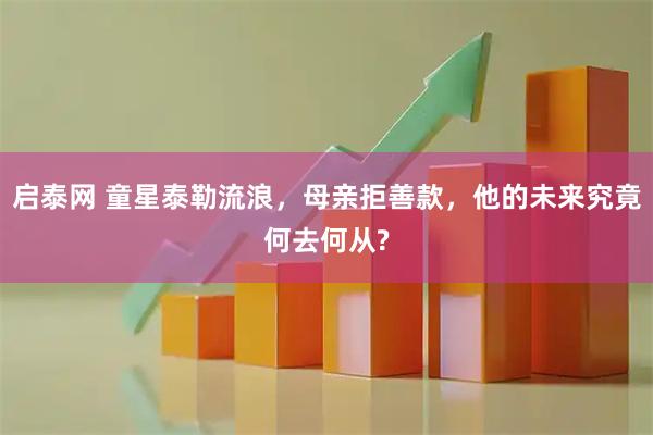 启泰网 童星泰勒流浪，母亲拒善款，他的未来究竟何去何从?