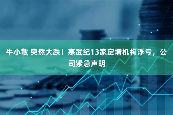 牛小散 突然大跌！寒武纪13家定增机构浮亏，公司紧急声明